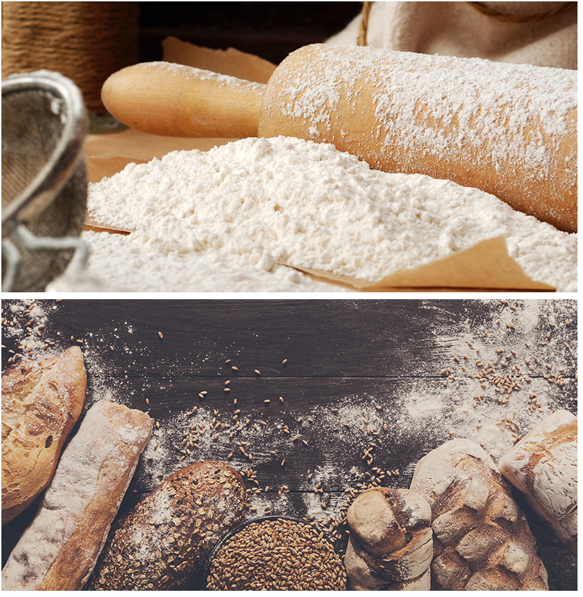 What is Bread Flour?